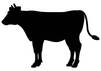 Cattle farmers