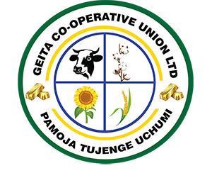 Company contact information